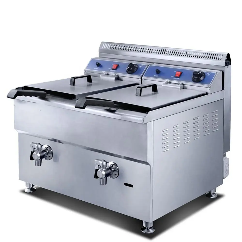 17L Double Tank Gas Fryer - Efficie...